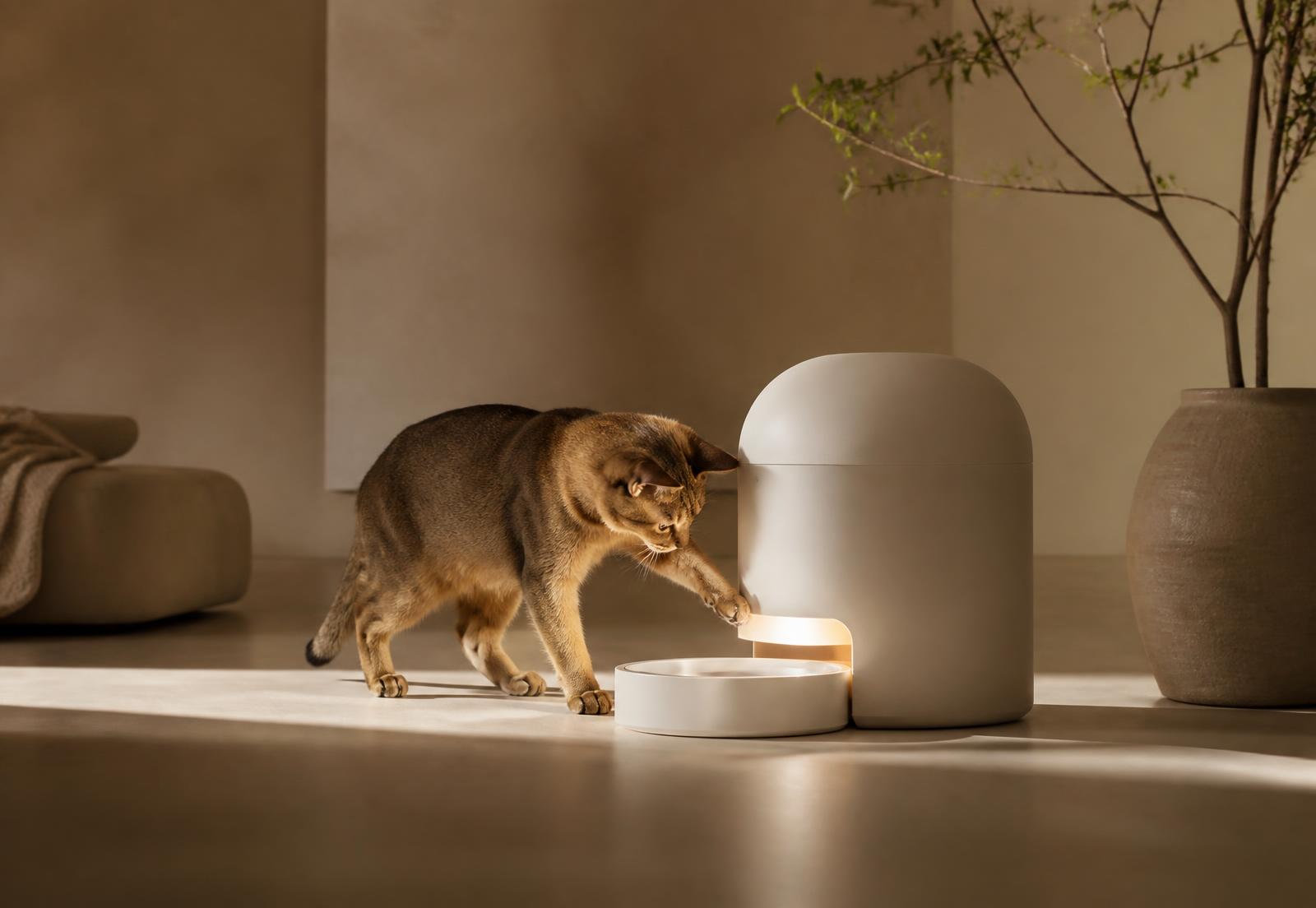 Smart pet water fountain running on a modern kitchen counter